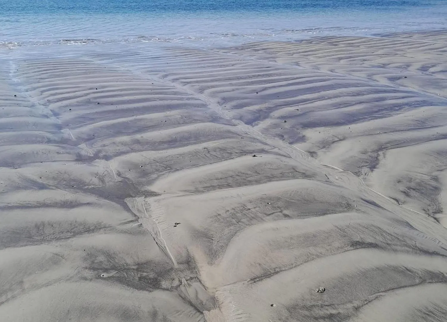 Perle Des Sables Blancs, Appartement Entier A 100M De La Plage Avec Parking Prive Concarneau Διαμέρισμα